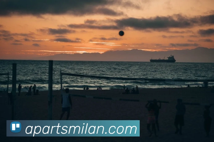 米兰体育服务体系